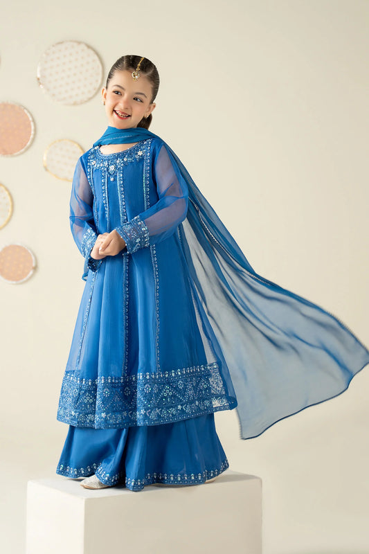 3 Piece Embroidered Organza Suit